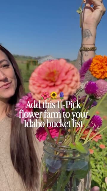 Flower House Farm U-Pick, from Boise Socialite’s Instagram recommendation